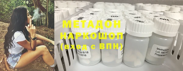 стаф Аркадак