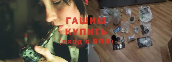 стаф Аркадак