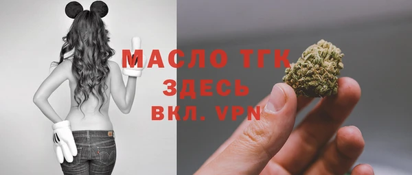 стаф Аркадак
