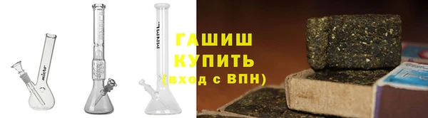 стаф Аркадак