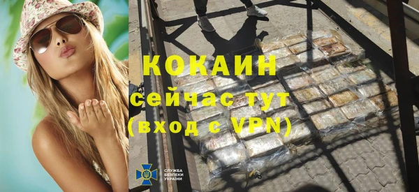 стаф Аркадак