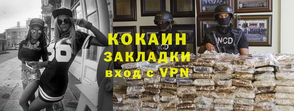 стаф Аркадак
