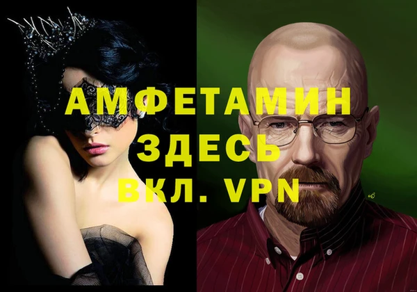 стаф Аркадак