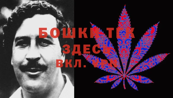 стаф Аркадак